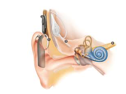 Screen Shot 2020-11-02 at 2.46.34 PM.png